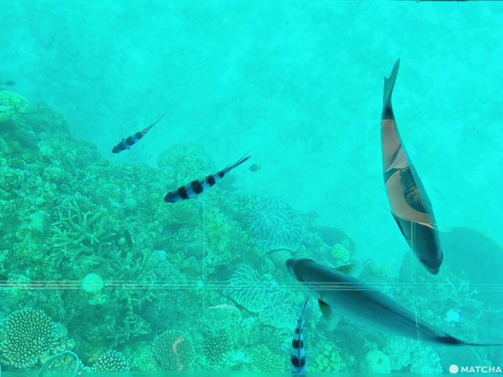 夏本番！「オリエンタルホテル沖縄リゾート＆スパ」で五感を満たす、2泊3日の子連れ旅行。