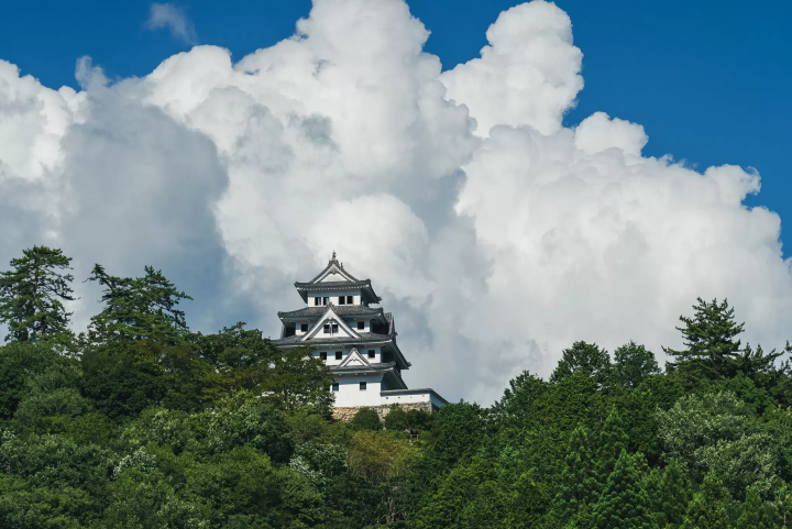 【岐阜県】川遊びから盆踊りまで！夏を満喫できる「郡上八幡」