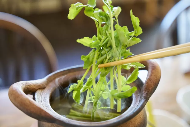 [東北]宮城縣南三陸町的3家素食旅館及餐廳