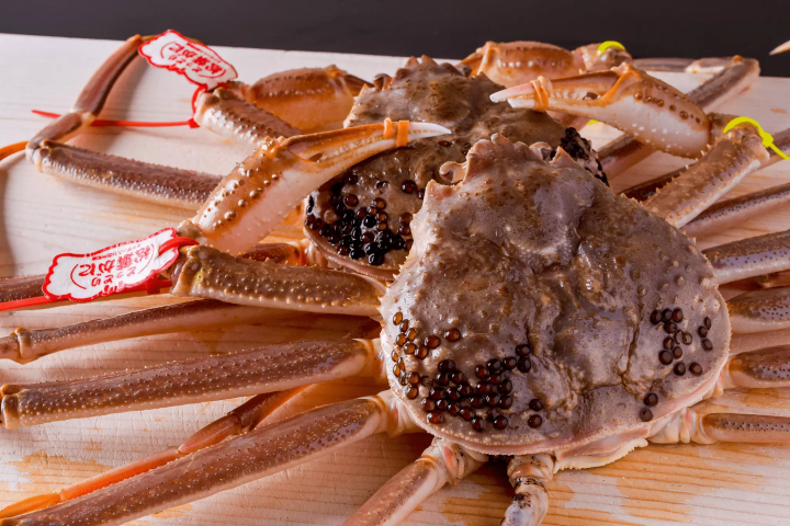 [大阪美食]“Uzushio”用寿司和鱼火锅吃在木津市场购买的极其稀有的鱼