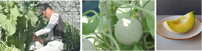 無印良品 古民家住宿千葉airbnb MUJI BASE