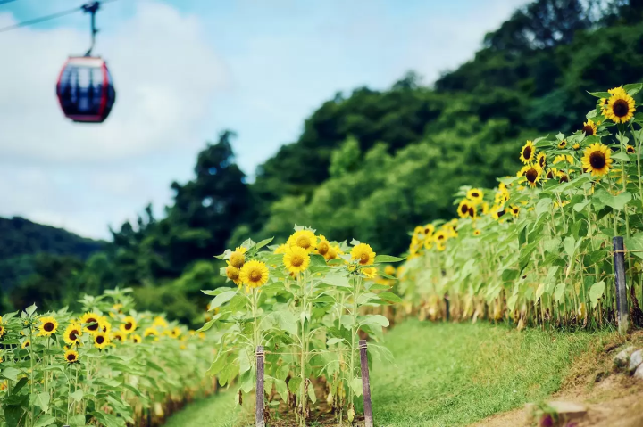Kobe Nunobiki Herb Garden