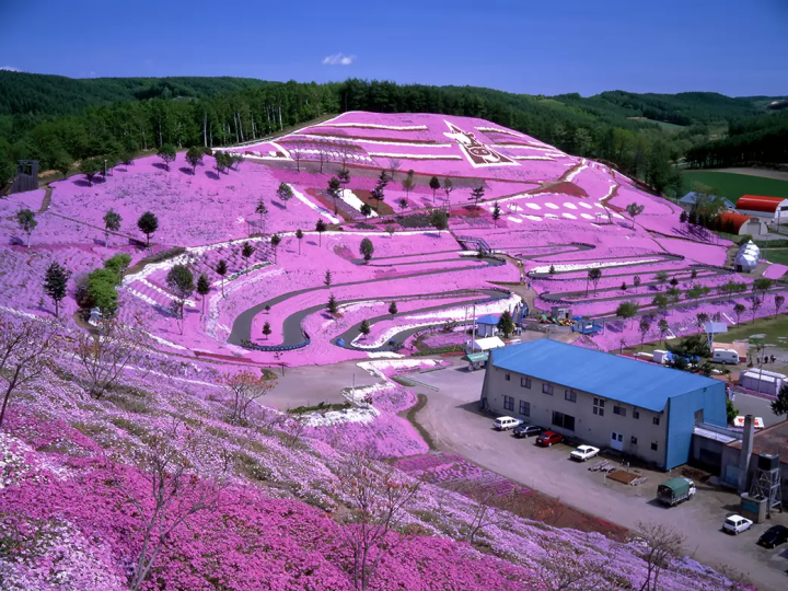 10 สวนดอกไม้ตระการตาที่แนะนำเฉพาะในฮอกไกโด