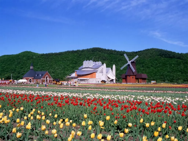 10 สวนดอกไม้ตระการตาที่แนะนำเฉพาะในฮอกไกโด