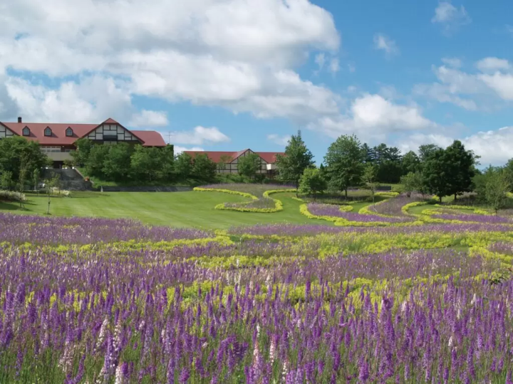 10 สวนดอกไม้ตระการตาที่แนะนำเฉพาะในฮอกไกโด