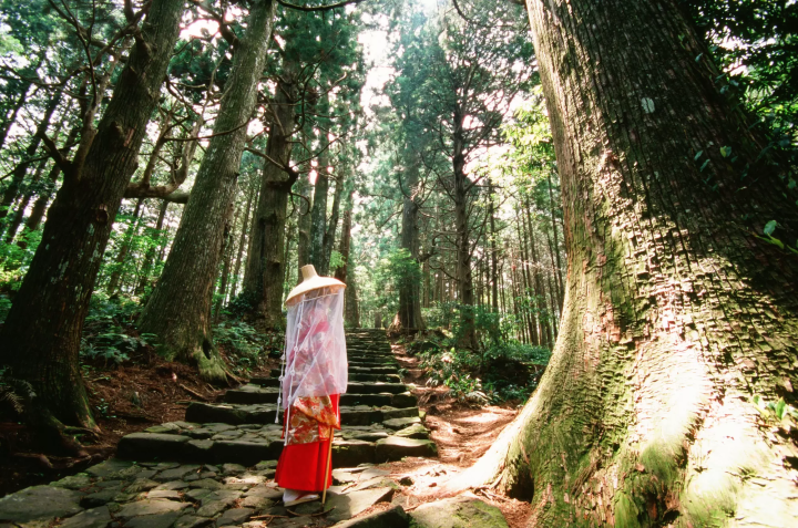 Osaka Day Trips: 10 Exciting Destinations