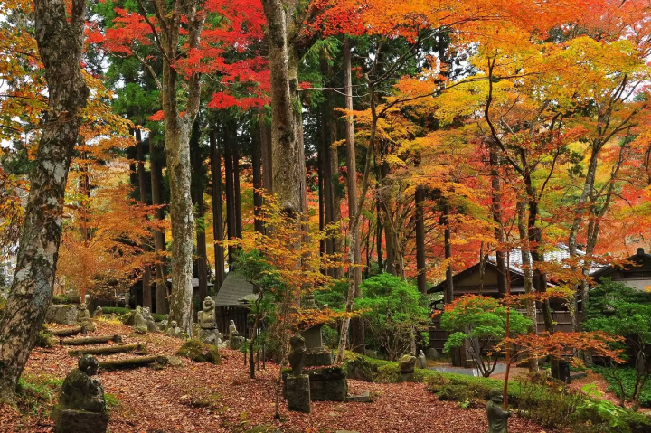 Hakone: Top 5 Fall Foliage Spots in 2023