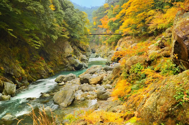 5 Spectacular Fall Foliage Spots near Tokyo: : Nikko, Mt. Takao, and More