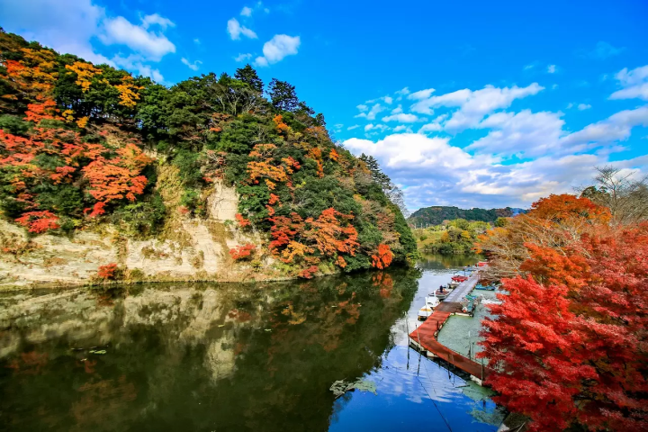 5 Spectacular Fall Foliage Spots in Greater Tokyo