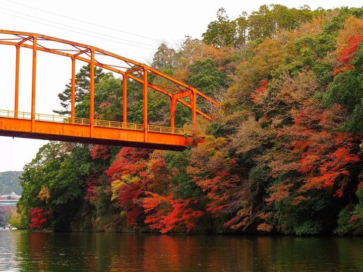 5 Spectacular Fall Foliage Spots in Greater Tokyo