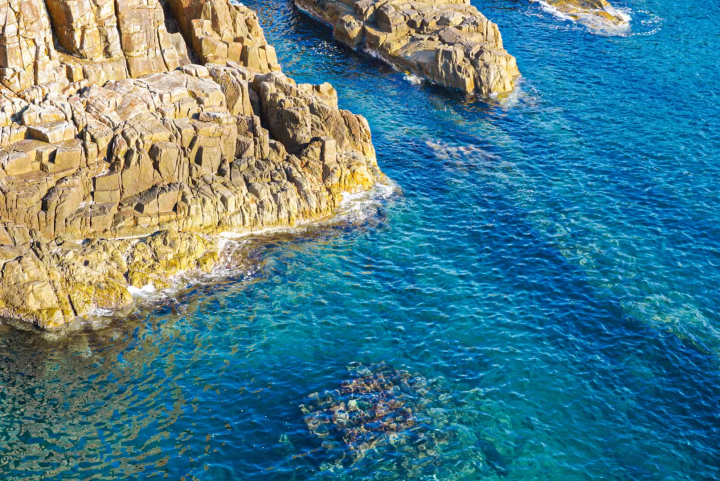 【四国】日本の人混みに疲れたら？高知県の絶景、足摺岬へ