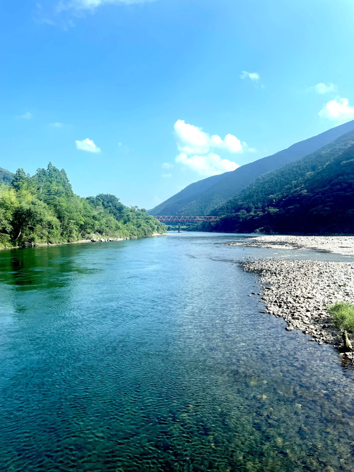 【四国】日本の人混みに疲れたら？高知県の絶景、足摺岬へ