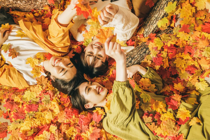 房間裡有一萬片楓葉?在「星野集團 BEB5 輕井澤」享受獨特的紅葉體驗!