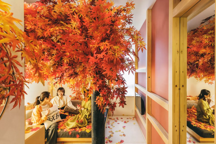 房間裡有一萬片楓葉?在「星野集團 BEB5 輕井澤」享受獨特的紅葉體驗!