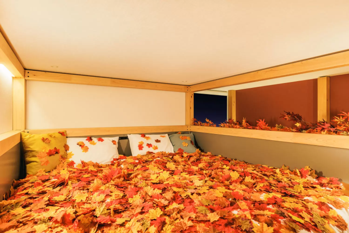 房間裡有一萬片楓葉?在「星野集團 BEB5 輕井澤」享受獨特的紅葉體驗!