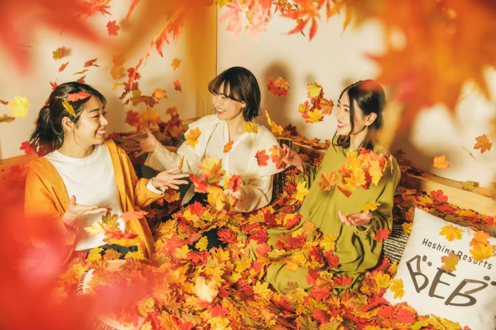 房間裡有一萬片楓葉?在「星野集團 BEB5 輕井澤」享受獨特的紅葉體驗!
