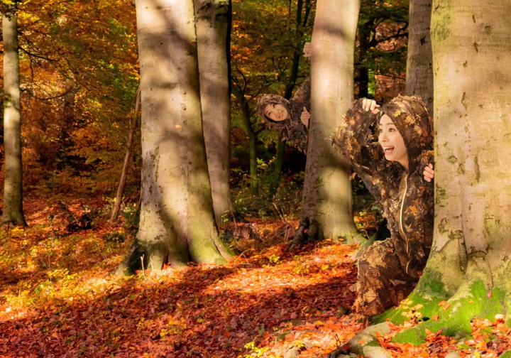 房間裡有一萬片楓葉?在「星野集團 BEB5 輕井澤」享受獨特的紅葉體驗!