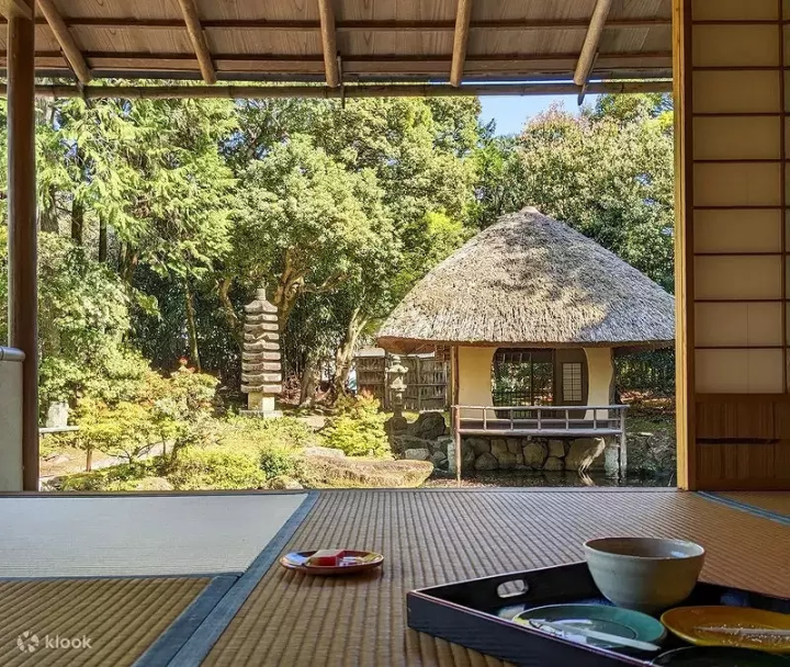 Japanese Tea Ceremony