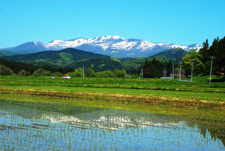 栗驹山的红叶堪称“上帝的地毯”
