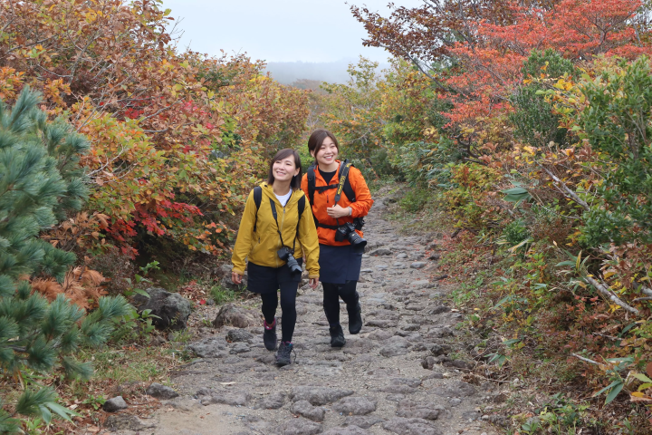 栗驹山的红叶堪称“上帝的地毯”