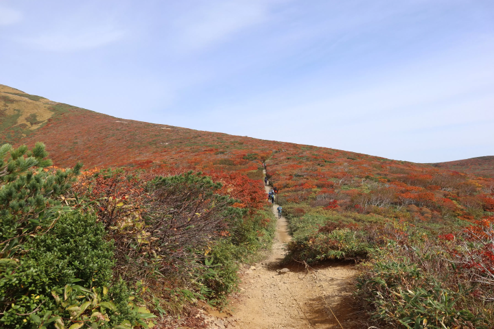 栗驹山的红叶堪称“上帝的地毯”