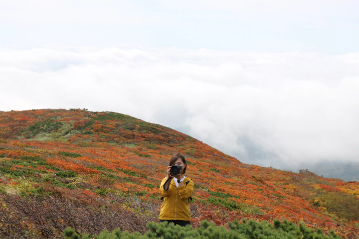 栗驹山的红叶堪称“上帝的地毯”