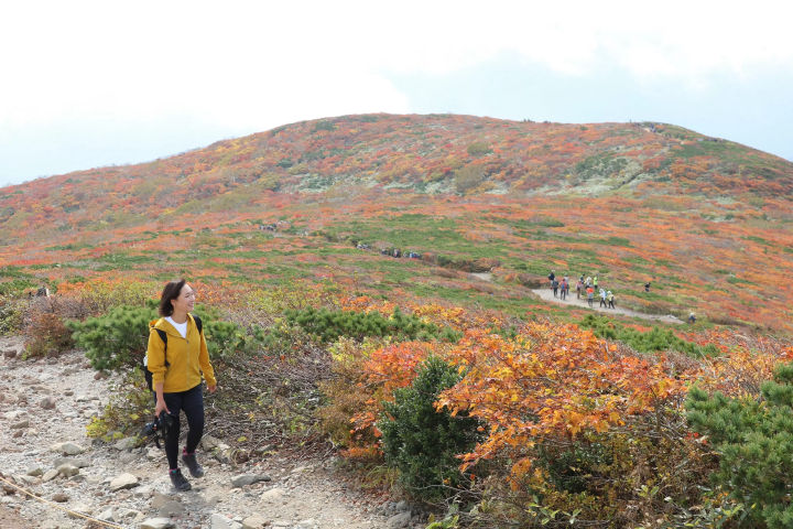 栗驹山的红叶堪称“上帝的地毯”