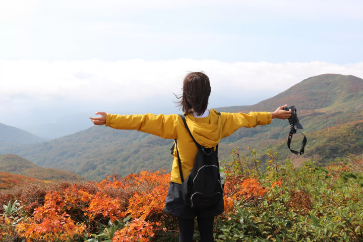 栗驹山的红叶堪称“上帝的地毯”