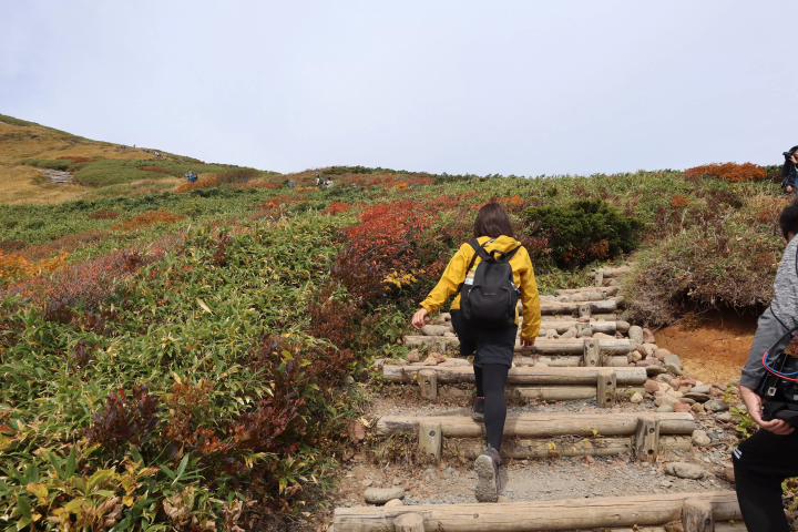 栗驹山的红叶堪称“上帝的地毯”