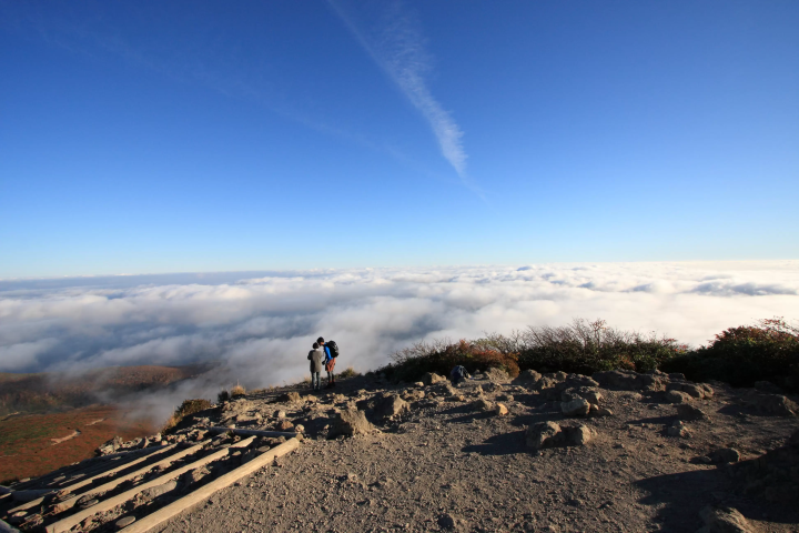 栗驹山的红叶堪称“上帝的地毯”