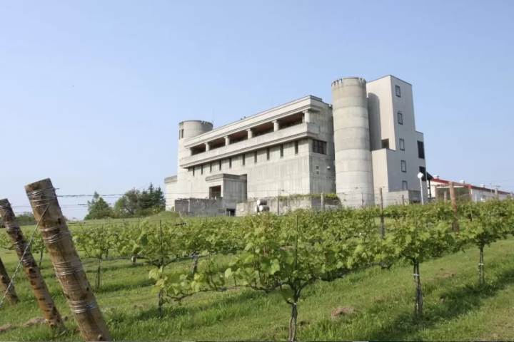 Visiting wineries in Hokkaido | Summary of wineries by region that are must-sees for wine lovers