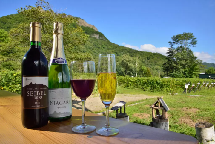 Visiting wineries in Hokkaido | Summary of wineries by region that are must-sees for wine lovers