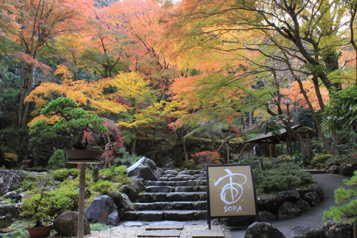 【静岡・修善寺温泉】日本庭園が美しい温泉宿「宙SORA 渡月荘金龍」