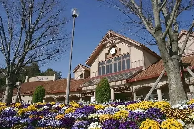 Japans Flower Island, Awaji! Swirling Ocean Rapids, Anime Theme Parks and More! 