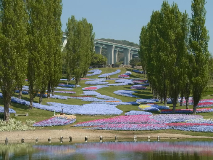 Japans Flower Island, Awaji! Swirling Ocean Rapids, Anime Theme Parks and More! 