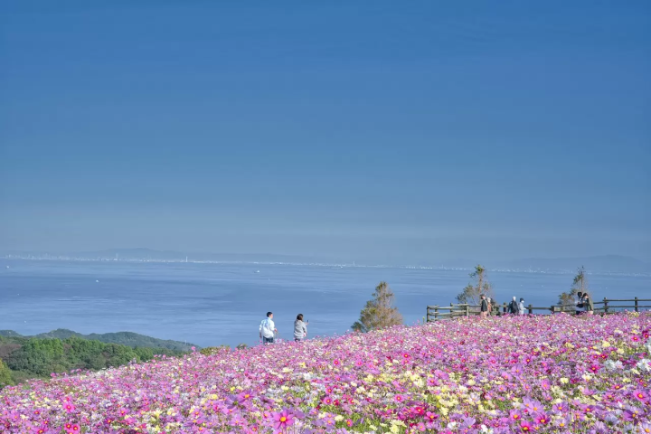 Japans Flower Island, Awaji! Swirling Ocean Rapids, Anime Theme Parks and More! 