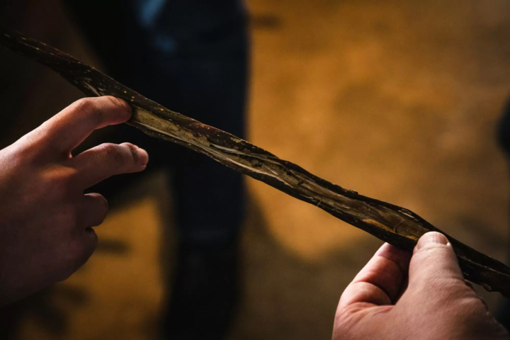 【手仕事のまち越前市】クリエイターを刺激する越前和紙の底力