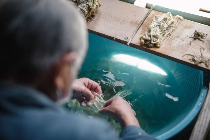 【手仕事のまち越前市】クリエイターを刺激する越前和紙の底力