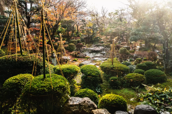 [Town of Handicrafts, Echizen City] A Journey to Record the Activities of the People of Echizen