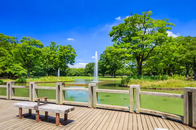 原宿はカワイイだけじゃない！自然豊かな「代々木公園」の魅力