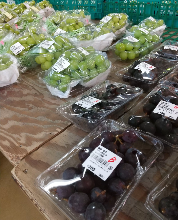 เมืองคิโนคาวะเต็มไปด้วยผลไม้!