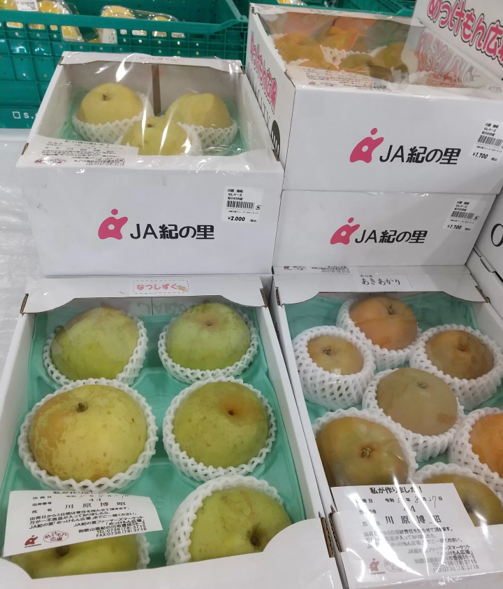 เมืองคิโนคาวะเต็มไปด้วยผลไม้!