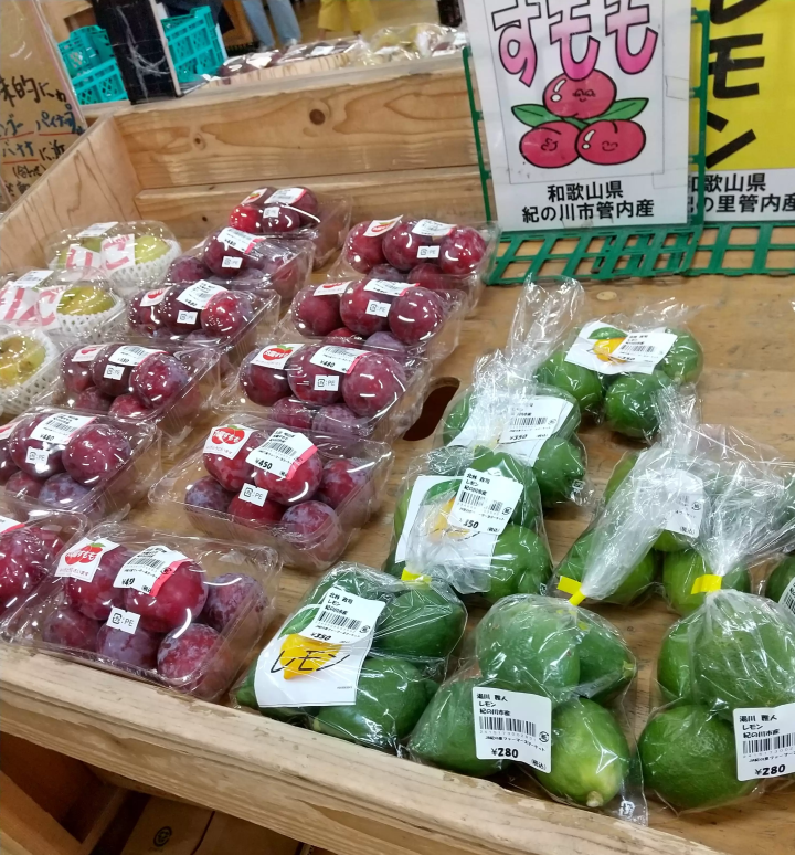 เมืองคิโนคาวะเต็มไปด้วยผลไม้!