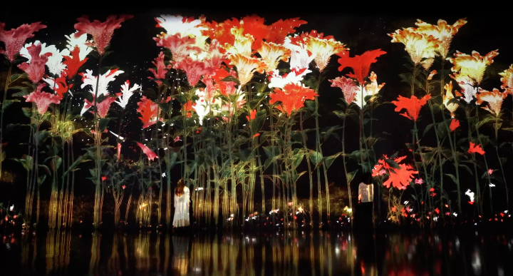 森大廈數位藝術美術館：teamLab無界」（teamLab Borderless: MORI Building DIGITAL ART MUSEUM）