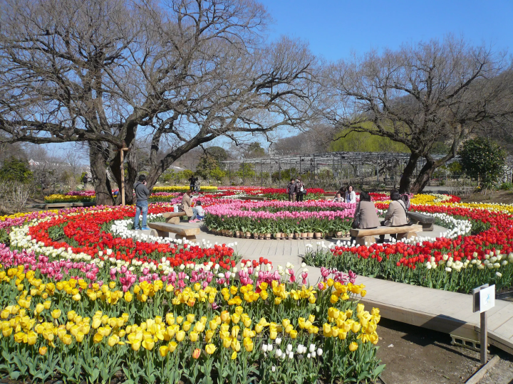 Ashikaga Flower Park and the four seasons