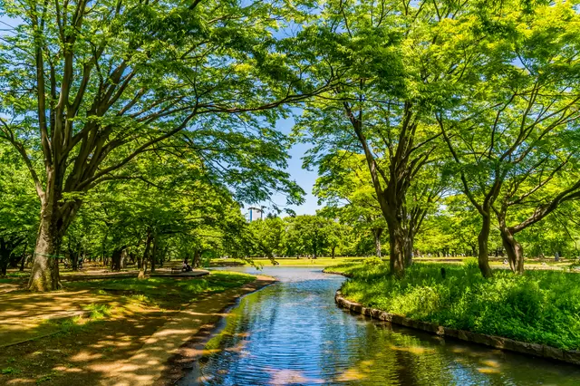 【東京.景點】來代代木公園享受大自然的魅力吧！