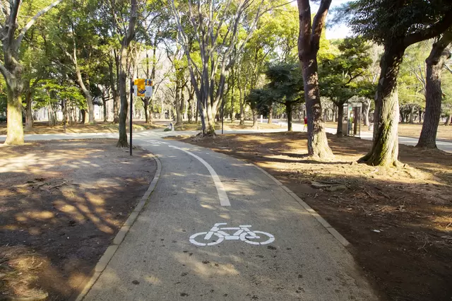 【東京.景點】來代代木公園享受大自然的魅力吧！