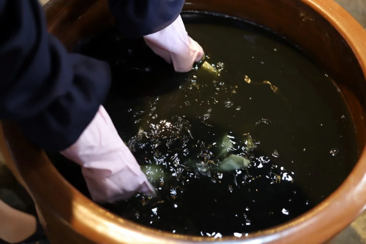 [Himeji City] Have a relaxing experience in a 100-year-old traditional Japanese house.