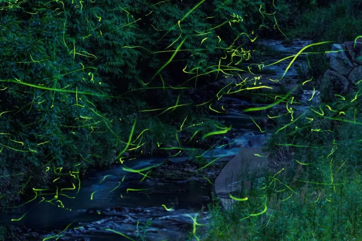 【岡山】湯郷温泉で絶対行きたいスポット8選　〜絶景、自然、博物館、宿泊〜