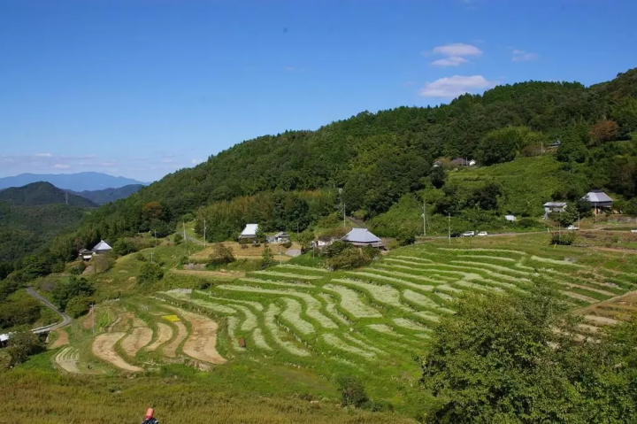 【岡山】湯郷温泉で絶対行きたいスポット8選　〜絶景、自然、博物館、宿泊〜